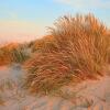 Отель Strandly Skagen, фото 14