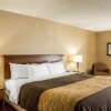 Отель Quality Inn Springboro West, фото 28