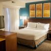 Отель Residence Inn Cincinnati Airport, фото 3