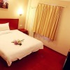 Отель GreenTree Inn Jinan Daming Lake Hotel, фото 4