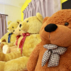 Отель Bears To Happy Hostel, фото 3