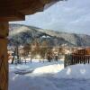 Отель Chalet Hutsulyandiya, фото 1