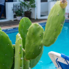 Отель Rodney Heights Grande Splendour, фото 18