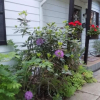 Отель Eden Place Bed & Breakfast, фото 8