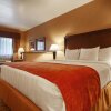 Отель Best Western San Dimas Hotel & Suites, фото 7