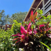 Отель Roatan Dive And Yacht Club, фото 18
