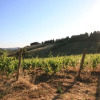 Отель Azienda Agricola I Colli di Marliano, фото 19