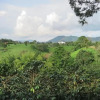 Отель Coffee Trails Finca Las 2mm, фото 32