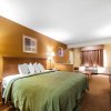 Отель Quality Inn & Suites, фото 9