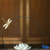 Отель Hailan International Hotel, фото 7