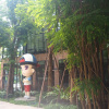 Отель BB House Chaingmai, фото 1