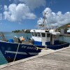 Отель Le Marina Love 2- Le Marin-martinique - Face Ocean, фото 20