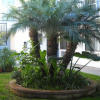 Отель Palms Courtyard Inn, фото 7