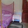 Отель Mayelle Guesthouse, фото 3