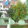 Отель Himalayan Guest House, фото 1