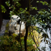 Отель YADORU KYOTO HANARE Kanade No Yado, фото 26