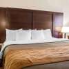 Отель Comfort Inn & Suites, фото 22