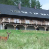 Отель Cudne Manowce, фото 1