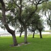 Отель Beautiful Riverfront Home - Three Bedroom Home, фото 13
