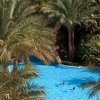 Отель Baron Palms Resort Sharm El Sheikh - Adults Only - All inclusive, фото 14