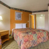 Отель Royal Inn, фото 12