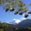 Отель Agriturismo Verger Plein Soleil, фото 17