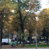 Отель Ranelagh, фото 6