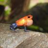 Отель Santuario de Ranas Valle Azul, фото 11