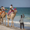 Отель Afrochic Diani Beach, фото 15