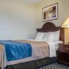 Отель Comfort Inn and Suites Ingersoll, фото 22