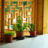 Отель Firefly Inn, фото 35