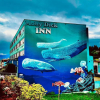 Отель Moby Dick Inn, фото 14