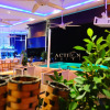 Отель Action Point Fitness Resort, фото 23