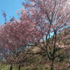 Отель Auberge Peacock Hill, фото 21