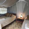 Отель Kiboko Safaris Camp в Национальном парке South Luangwa
