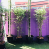Отель SupalakHouse, фото 17