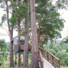 Отель Austinvilla Estate, фото 1