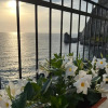 Отель Residenza Mare di Sotto Sorrento, фото 24