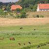 Отель Nad Doliną Krutyni, фото 28