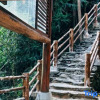 Отель Longji Terrace Panshan Yunshe Homestay, фото 3