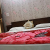 Отель New Comfort, фото 15