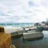 Отель Inubosaki Hotel, фото 15