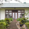 Отель Binoya Tea Estate Bungalow, фото 1