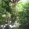 Отель Rumah Purnama, фото 8
