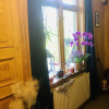 Отель Charming 1-bed Studio in Avesta, фото 2