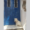 Отель Blue & White: An Absolute Aegean Dream House, фото 1