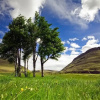 Отель Kiðafell, фото 39