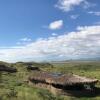 Отель Osiligilai Maasai Lodge, фото 44