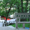 Отель Huangshan Shilin Hotel, фото 33