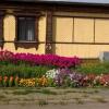 Гостиница House near Monastery в Суздале